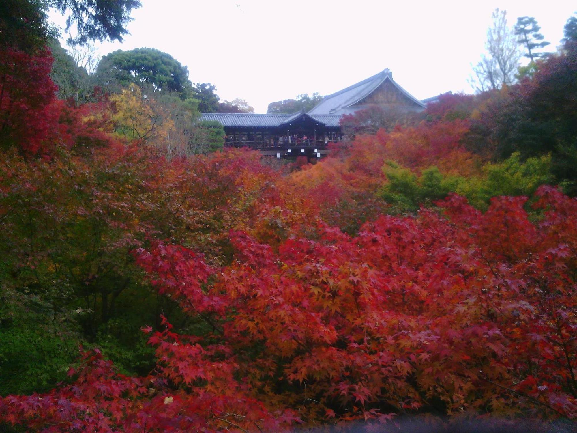 Kamuroan Kyoto Eksteriør billede