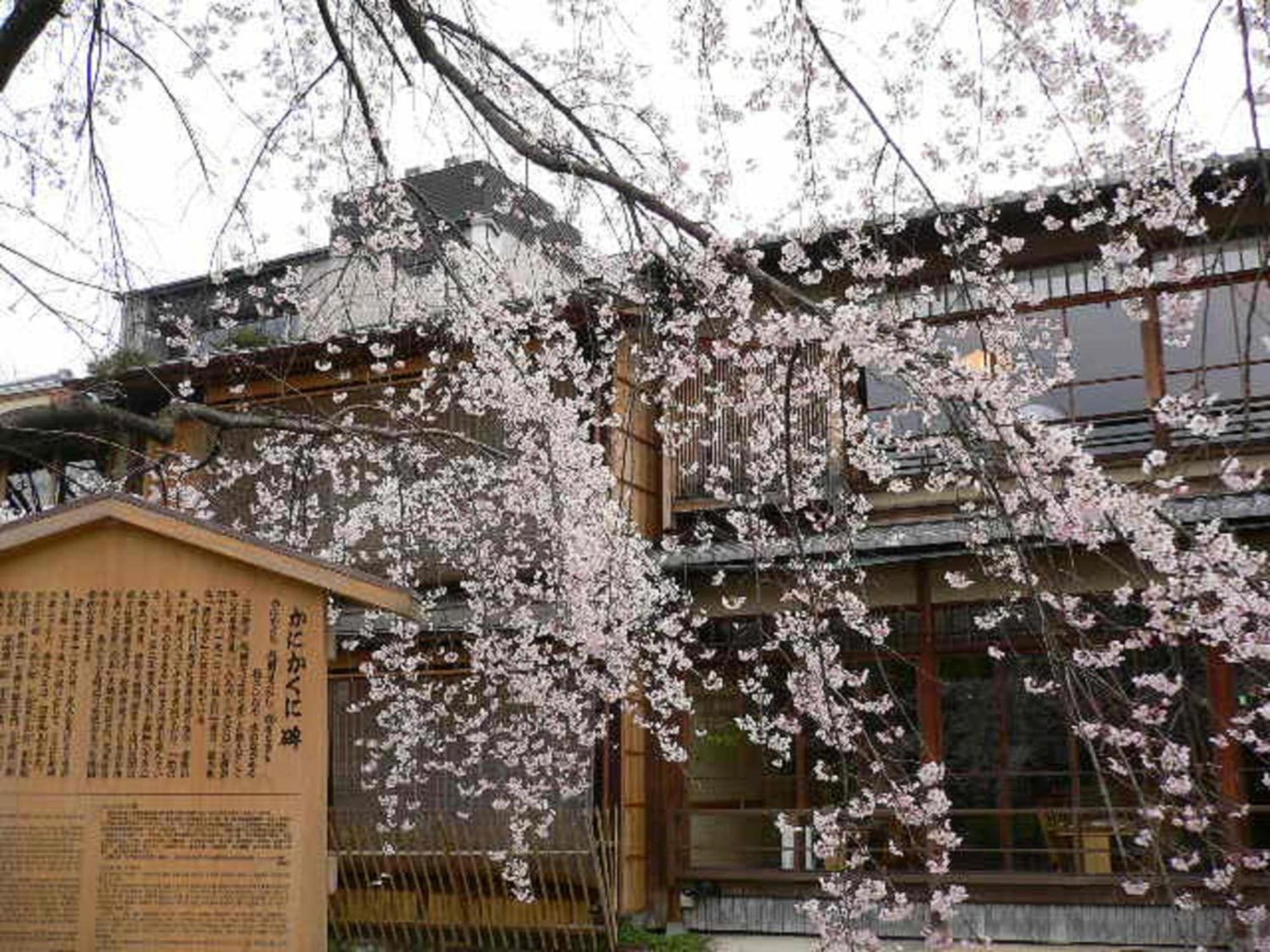 Kamuroan Kyoto Eksteriør billede
